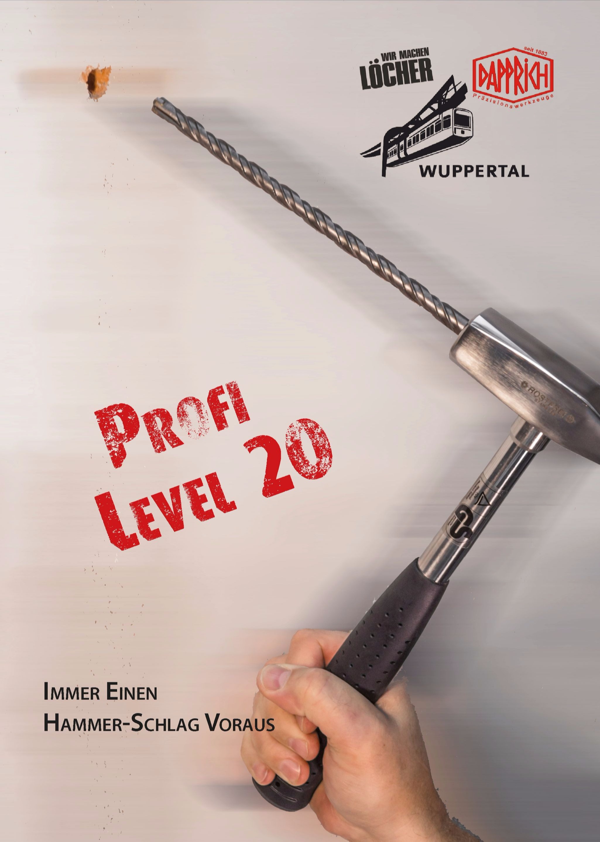 Profi-Level'20